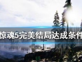 孤岛惊魂5怎么玩？分享游戏心得与技巧？