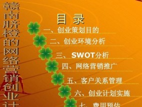 以店铺开店网络营销计划（利用互联网工具和策略）