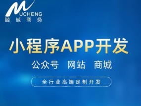 手机App开发（以技术创新和用户体验为核心的关键）