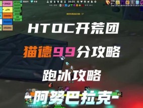 魔兽防骑如何有效打toc？
