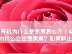 手机黑屏怎么办（遇到黑屏的手机不要慌）