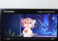 海豚传媒平板电脑如何下载应用？