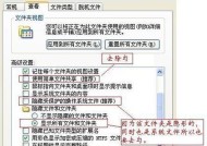 共享文件夹设置及使用指南（实现高效协作与数据共享的关键步骤和技巧）
