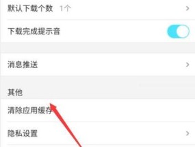如何将手机优酷缓存的视频导出到相册（教你一招方便快捷的方法）