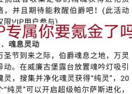 洛克王国充值VIP失败的原因是什么？如何解决？