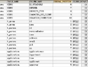 数据库查询语言的基础与应用（从入门到实战）