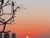 手机拍照运动模式？如何捕捉动态画面？
