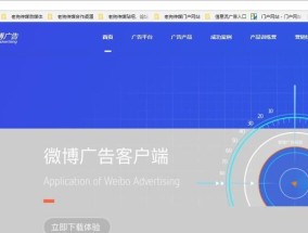 小网站广告投放渠道详解（如何利用小网站实现最佳广告效果）