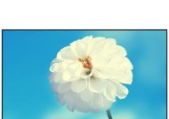 CF加速效果如何维持？有哪些技巧？