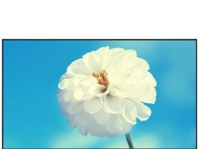 CF加速效果如何维持？有哪些技巧？