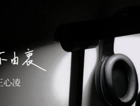 电脑桌面音乐无声是何原因？