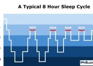 电脑休眠和睡眠的区别剖析（深度解析休眠和睡眠的功能差异）