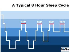 电脑休眠和睡眠的区别剖析（深度解析休眠和睡眠的功能差异）