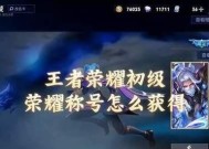 王者荣耀荣耀称号如何获得？常见问题及解决方法是什么？