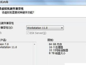 VMware安装程序无法继续的原因（解决VMware安装程序无法继续的常见问题）