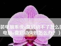 U盘无法识别怎么办？常见原因及解决方法是什么？