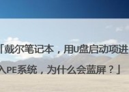如何使用U盘启动盘进入PE系统（U盘启动盘制作及PE系统使用教程）