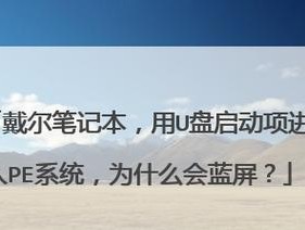 如何使用U盘启动盘进入PE系统（U盘启动盘制作及PE系统使用教程）