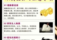 如何正确佩戴貔貅苹果手机壳？