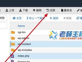 如何找回误删的文件？垃圾箱清空后还有救吗？