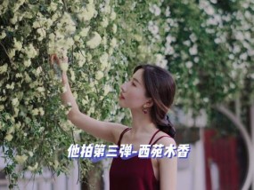如何在拍照时低调展示手机？