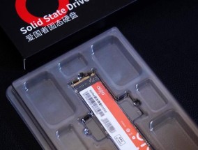 国产固态硬盘品牌排行榜（揭秘国产固态硬盘的优劣与性价比）