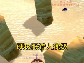 魔兽世界宠物如何打怪？宠物战斗有哪些策略？