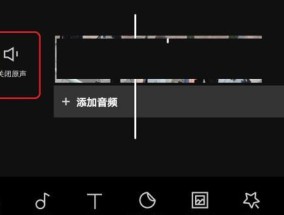 剪影电脑版无声音如何恢复？声音问题的解决方法是什么？