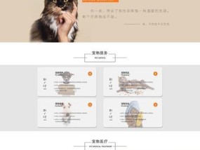 打造个人专属网页设计模板，展示独特魅力（以创意与技术相融合）