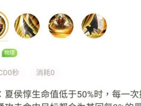 夏侯惇肉伤害装备全解析（以高生存能力为基础）