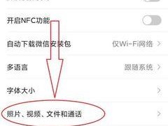 苹果手机挂断视频时如何快速拍照？有无快捷操作？