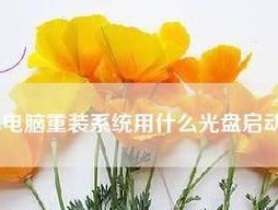 自己动手重装系统，轻松搞定电脑问题（详解自己用光盘重装系统的流程及注意事项）