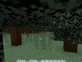 我的世界的凋零如何建造？建造过程中需要注意什么？