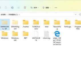 揭秘电脑隐藏文件夹的奥秘（轻松掌握查看隐藏文件夹的方法）
