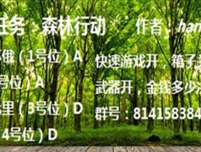 新红警战网平台实名认证流程详述
