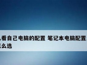 如何查看笔记本电脑的型号和配置（快速了解您的电脑）