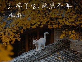 如何撰写吸引孩子的笔记本电脑文案？