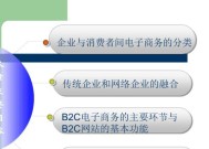 深入解析B2B电商平台的含义与功能（探索B2B电商平台的重要性以及行业发展趋势）
