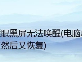 电脑黑屏恢复方法大全（教你如何快速解决电脑黑屏问题）
