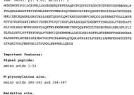 pepr显卡选择方法是什么？选择过程中需要注意哪些问题？