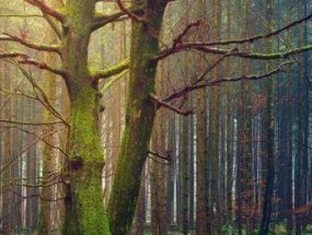 Outlook邮箱首次设置方法（一步步教你如何设置Outlook邮箱）
