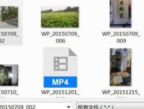 如何批量导入手机照片到电脑？教程步骤是什么？