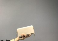 小黑网红服务器具体是什么？它有哪些特点和用途？