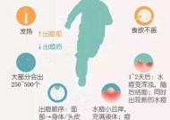 探究无法收到WiFi信号的原因（揭秘WiFi信号消失的神秘原因与解决方案）