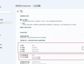 如何通过设置手机DNS来提升网速（掌握手机DNS设置）