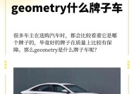 立着的汽车显示屏有哪些品牌？