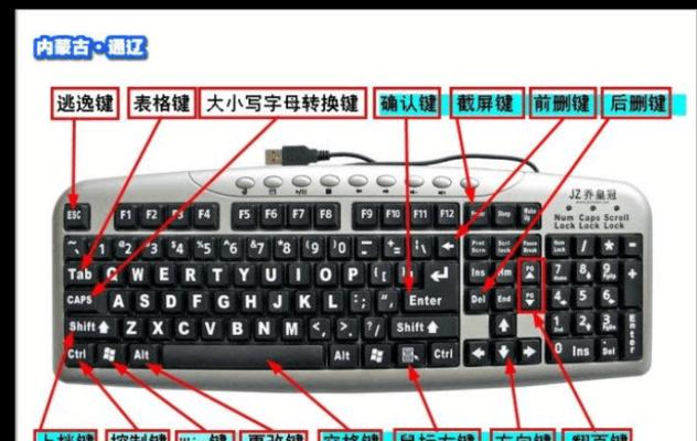 初学者电脑键盘打字手法指南（快速掌握电脑键盘打字技巧）  第1张