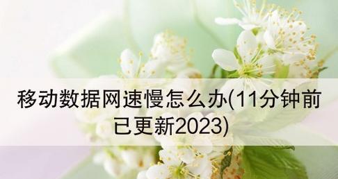 5G手机网速慢的原因及解决方法（深入探究5G手机网速缓慢的背后问题）  第1张