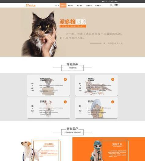 打造个人专属网页设计模板，展示独特魅力（以创意与技术相融合）  第1张