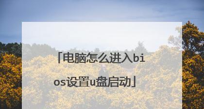 电脑U盘启动BIOS设置教程（一步步教你如何通过U盘启动BIOS设置）  第3张